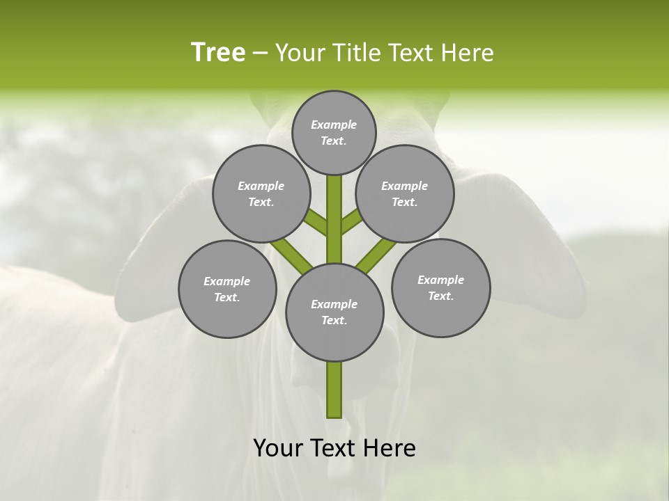 Flower Hat Chocolate PowerPoint Template