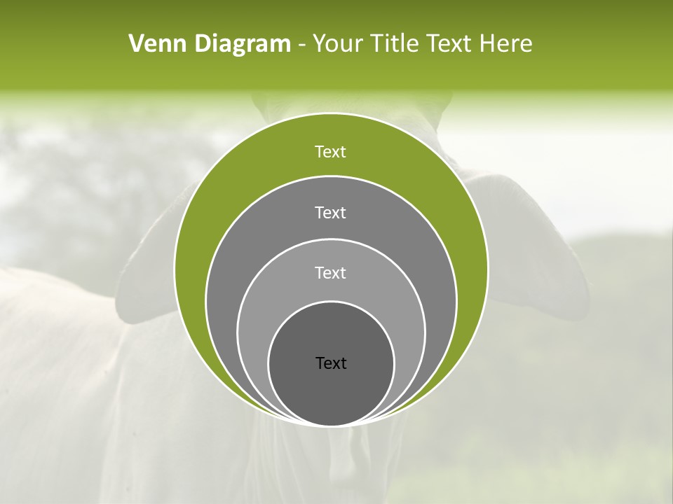 Flower Hat Chocolate PowerPoint Template