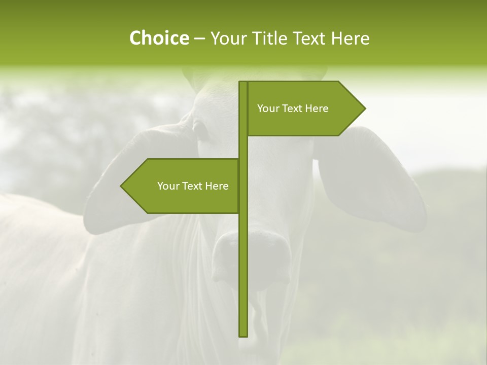 Flower Hat Chocolate PowerPoint Template