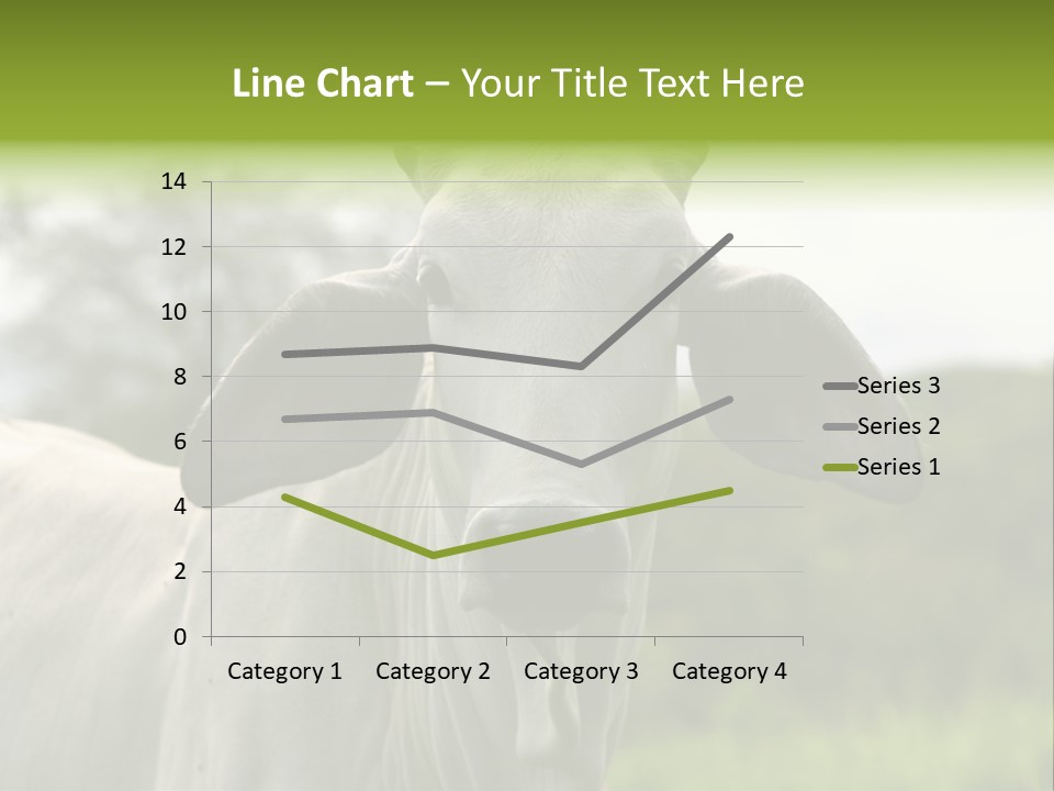 Flower Hat Chocolate PowerPoint Template