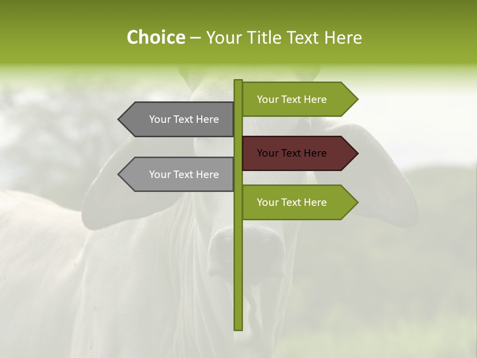 Flower Hat Chocolate PowerPoint Template