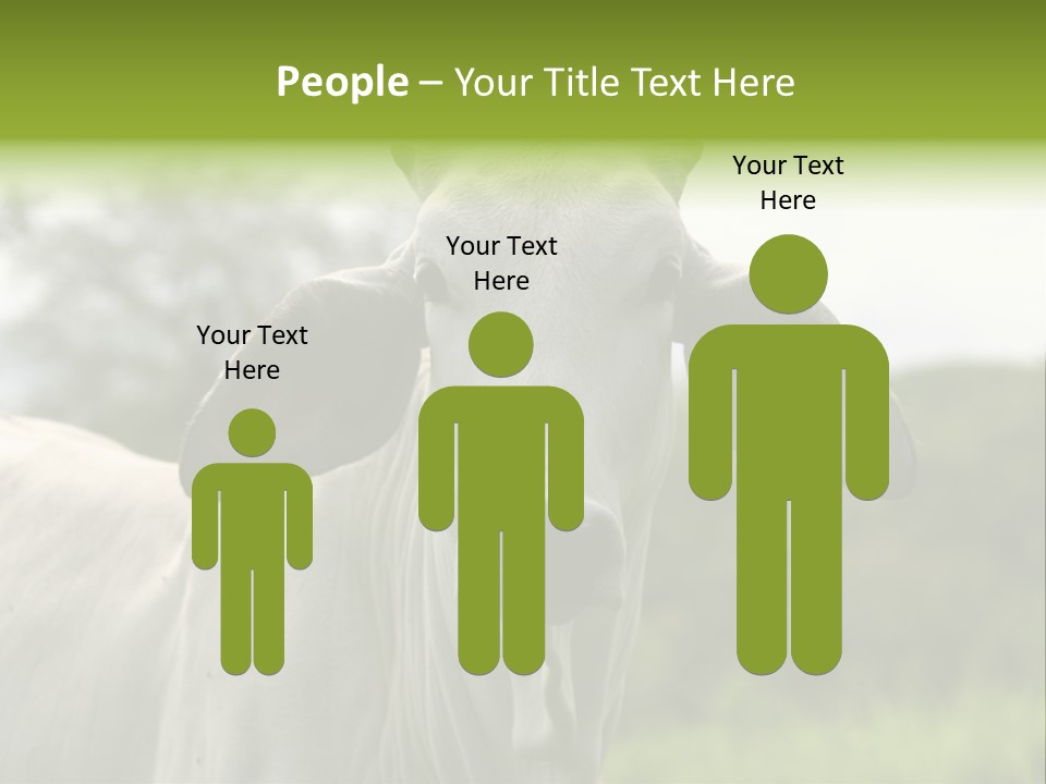 Flower Hat Chocolate PowerPoint Template