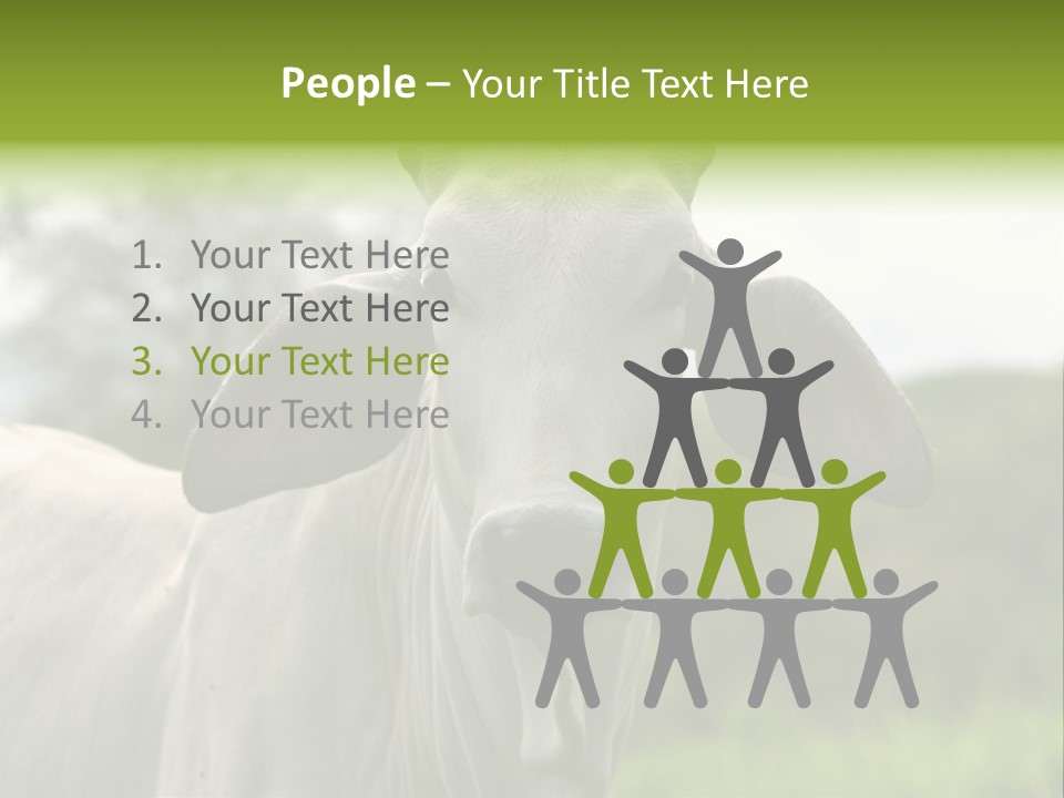 Flower Hat Chocolate PowerPoint Template