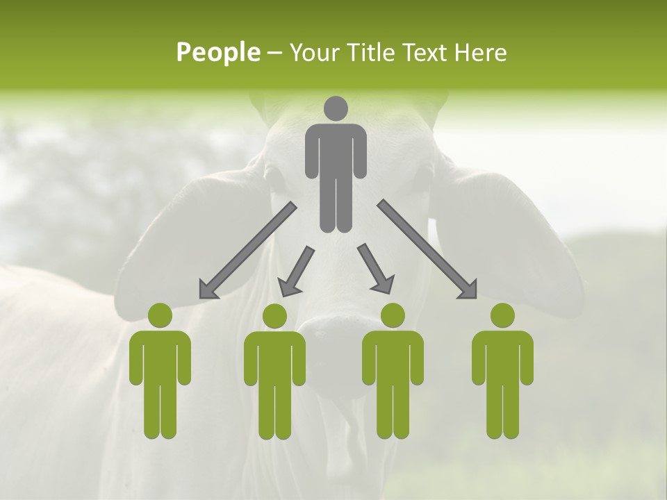 Flower Hat Chocolate PowerPoint Template