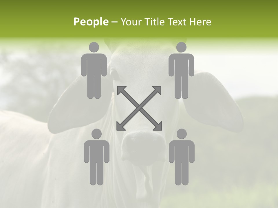 Flower Hat Chocolate PowerPoint Template