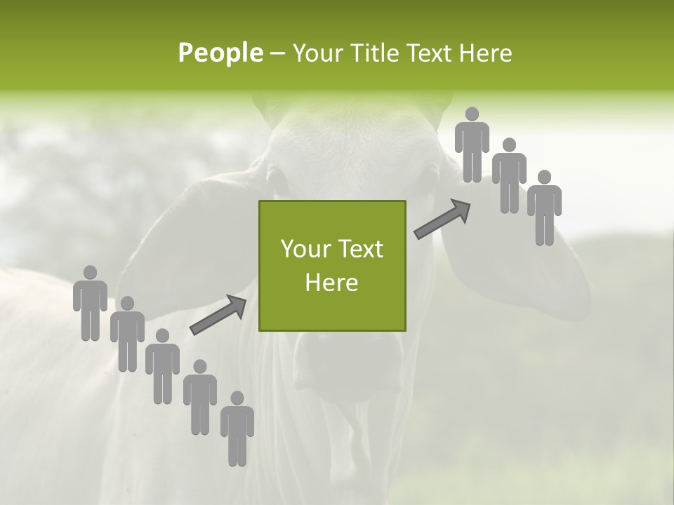 Flower Hat Chocolate PowerPoint Template