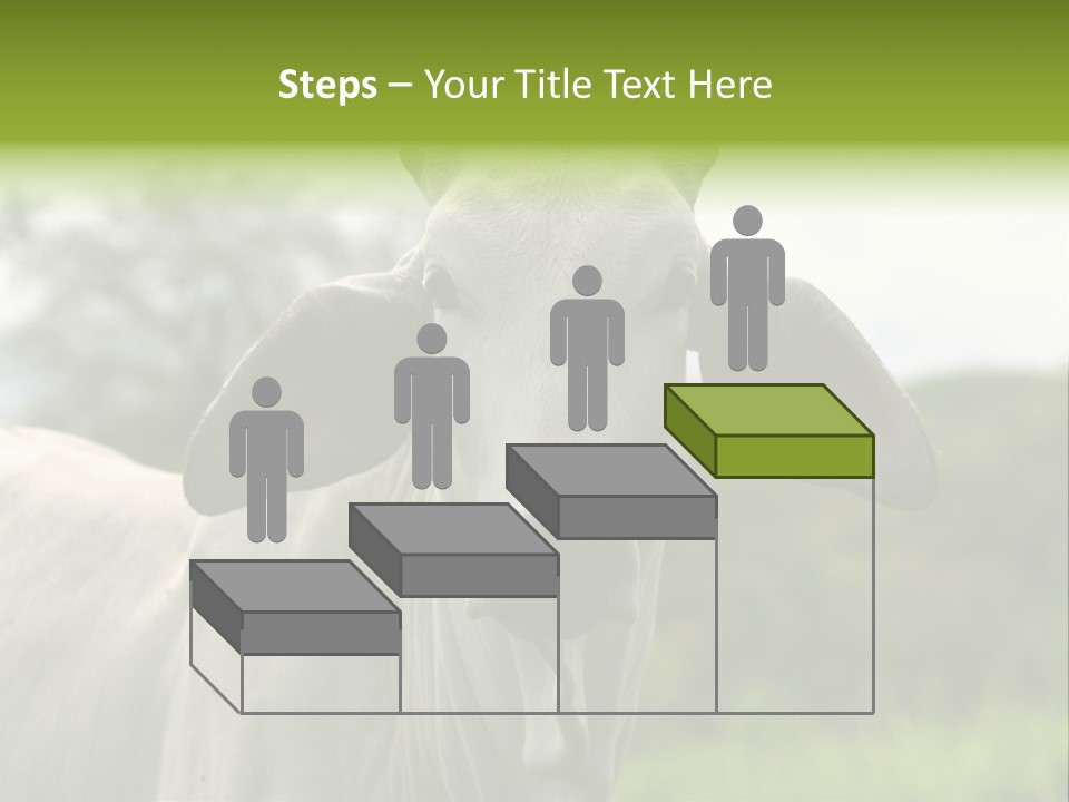 Flower Hat Chocolate PowerPoint Template