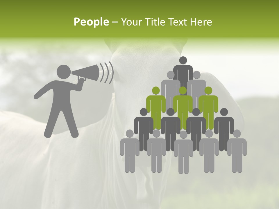 Flower Hat Chocolate PowerPoint Template