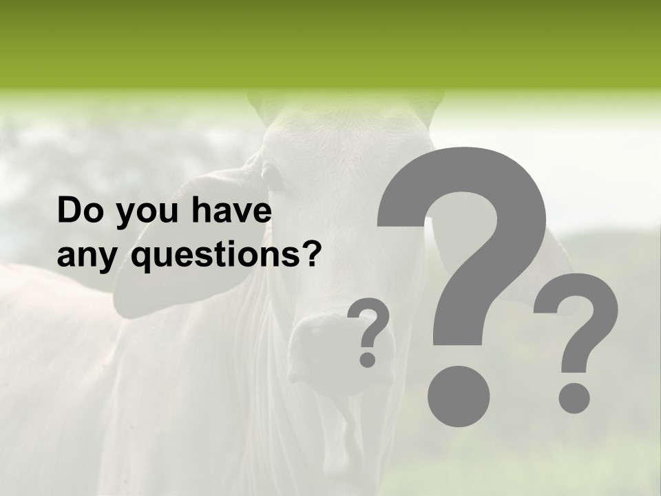 Flower Hat Chocolate PowerPoint Template