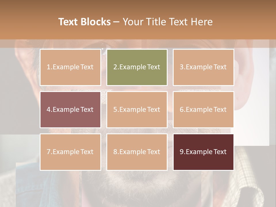 Set Gift Pink PowerPoint Template