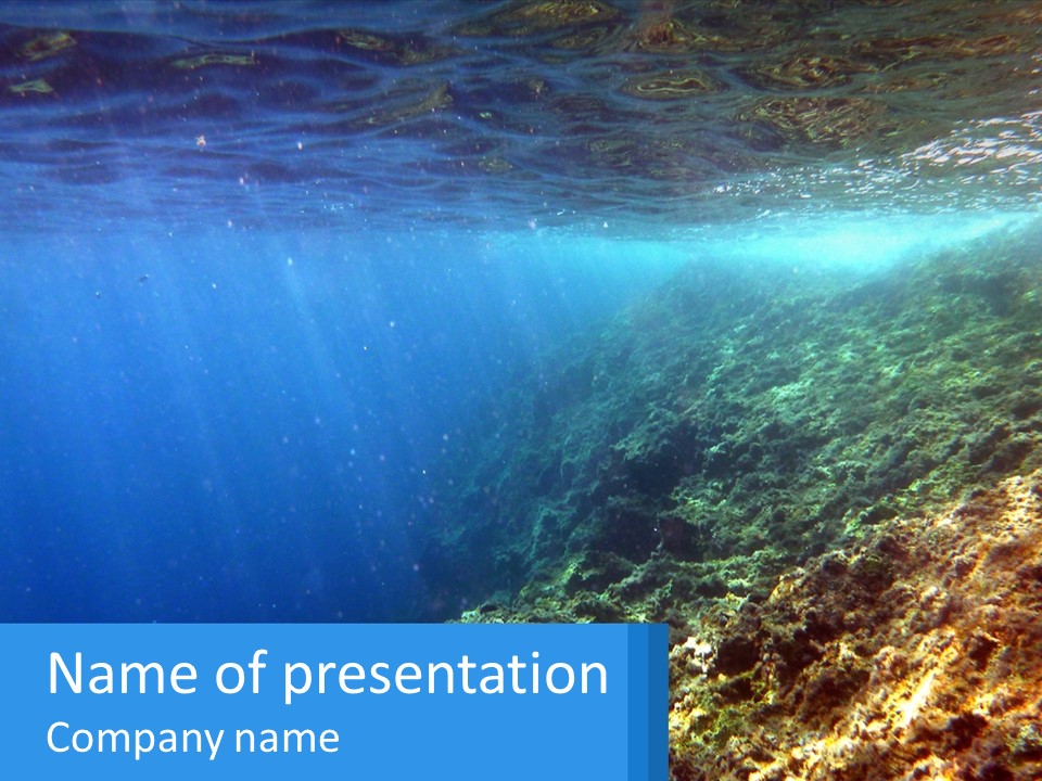 Marine Reef Scuba PowerPoint Template
