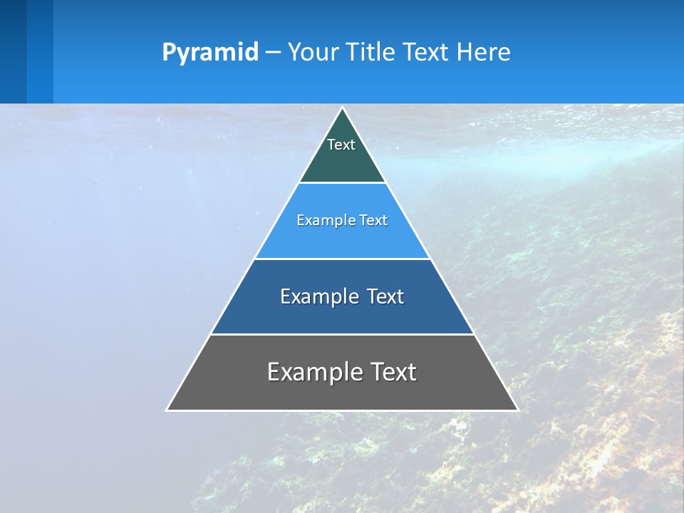 Marine Reef Scuba PowerPoint Template