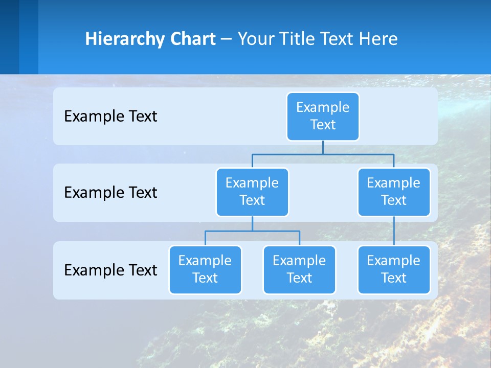 Marine Reef Scuba PowerPoint Template