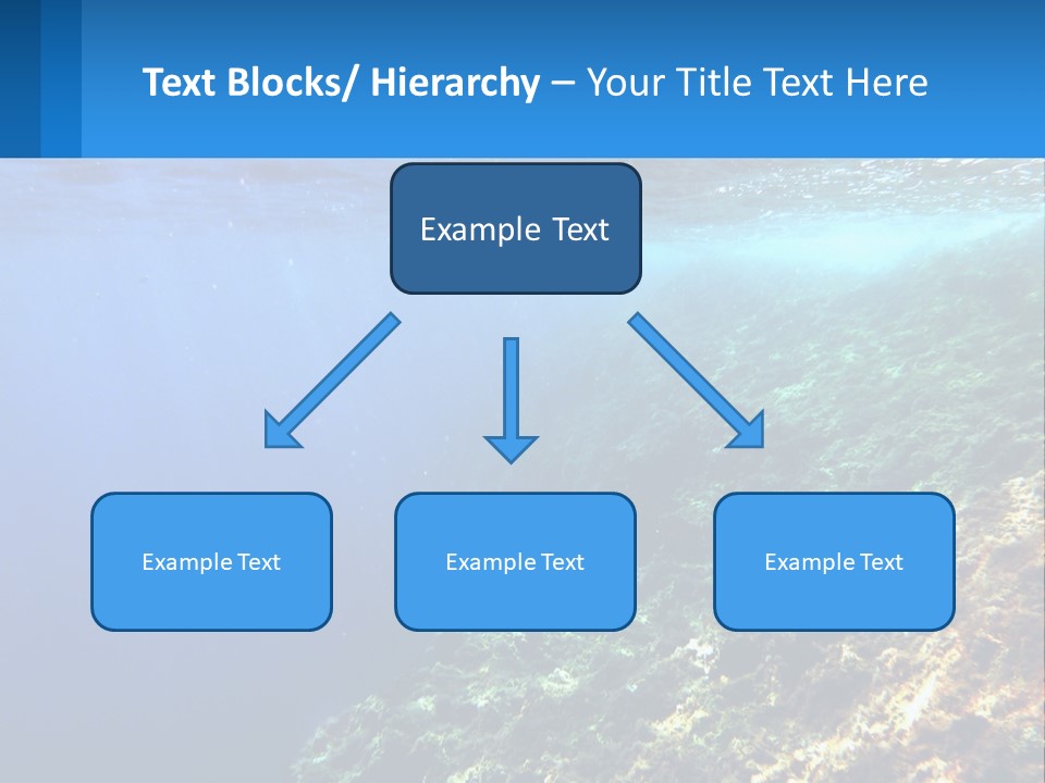 Marine Reef Scuba PowerPoint Template