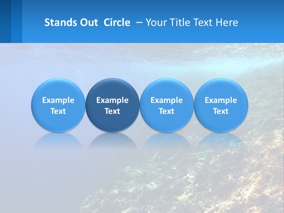 Marine Reef Scuba PowerPoint Template