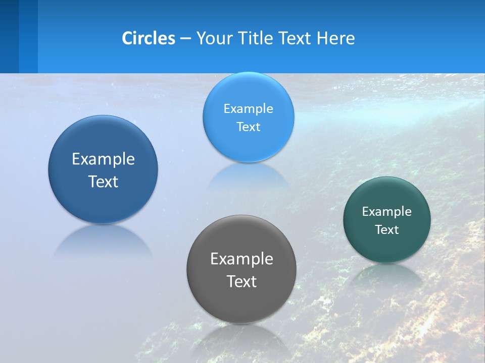 Marine Reef Scuba PowerPoint Template