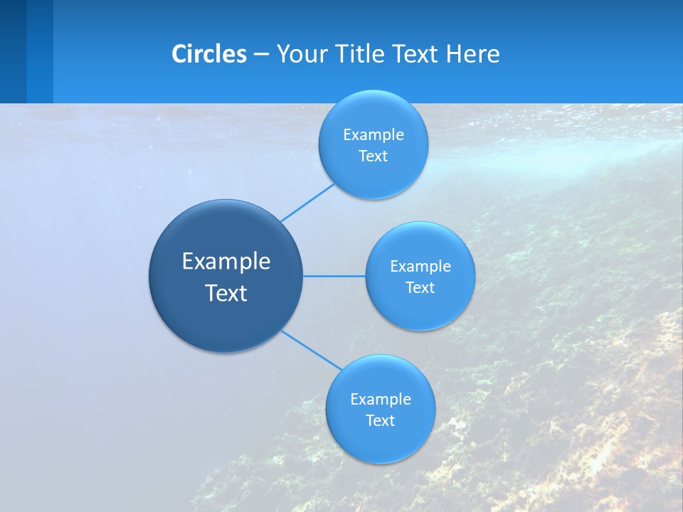 Marine Reef Scuba PowerPoint Template