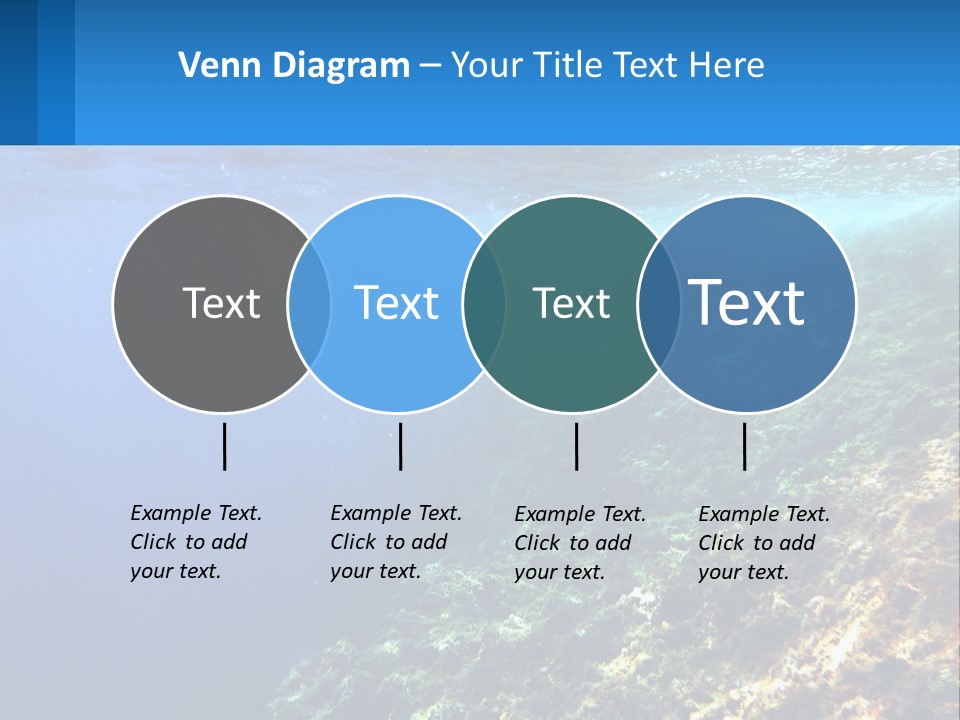 Marine Reef Scuba PowerPoint Template