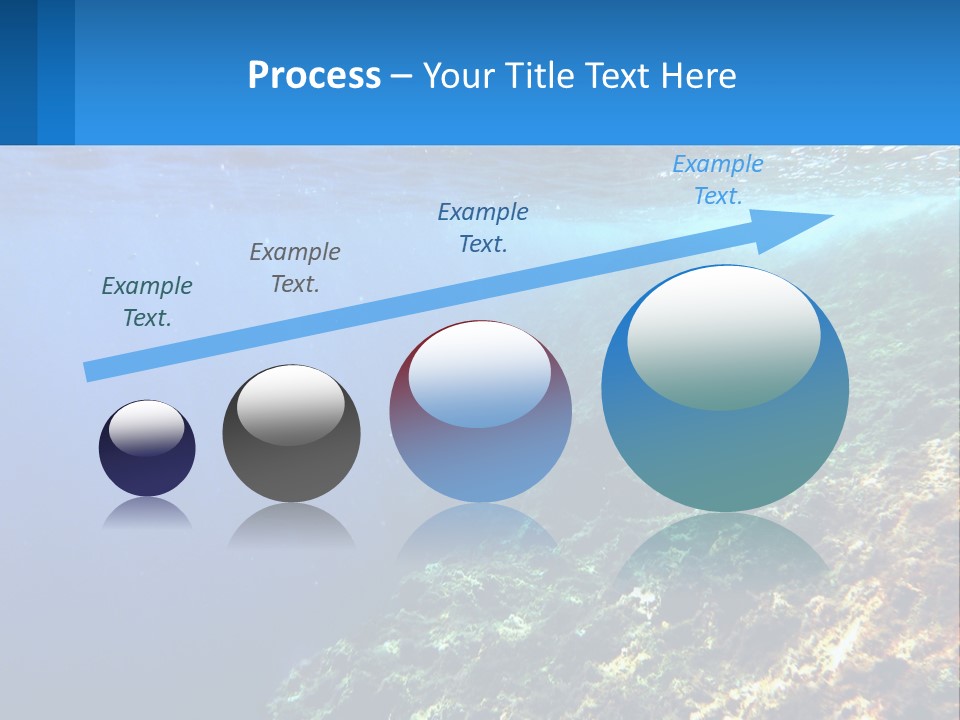 Marine Reef Scuba PowerPoint Template