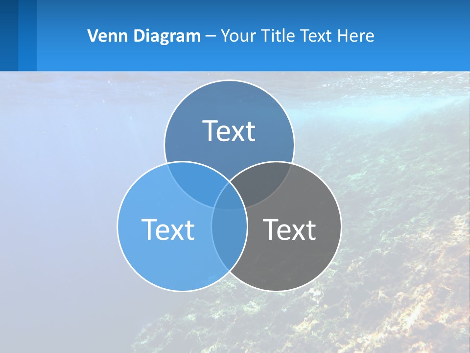 Marine Reef Scuba PowerPoint Template