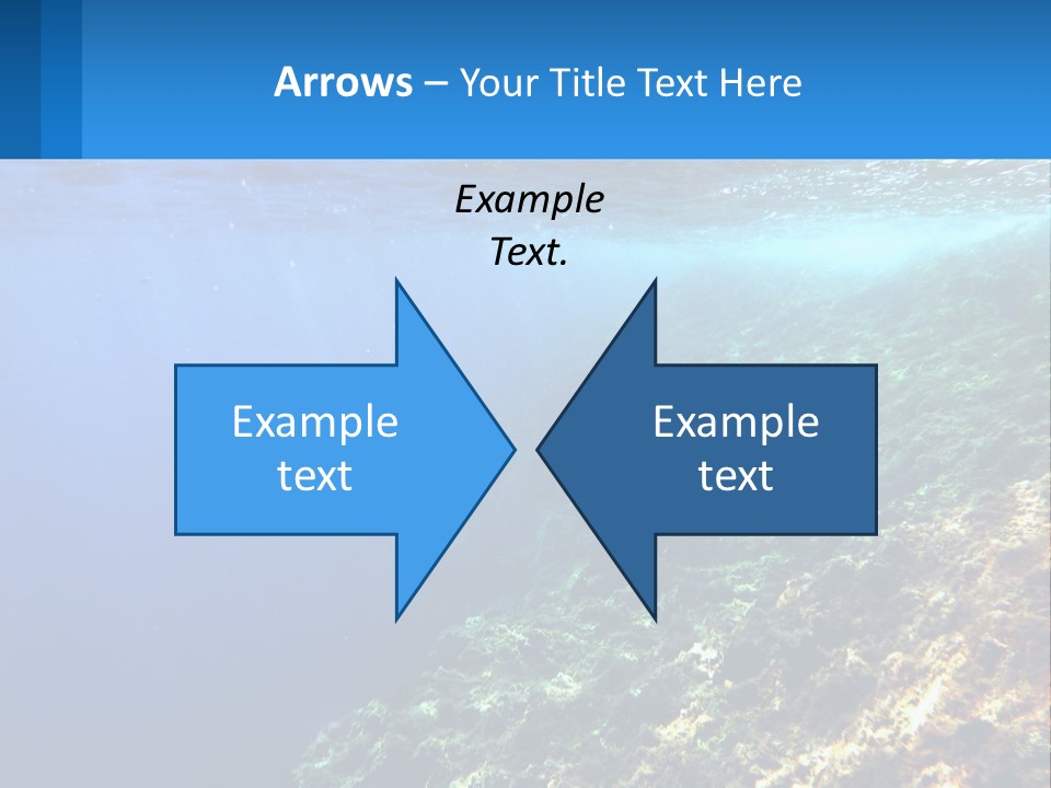 Marine Reef Scuba PowerPoint Template