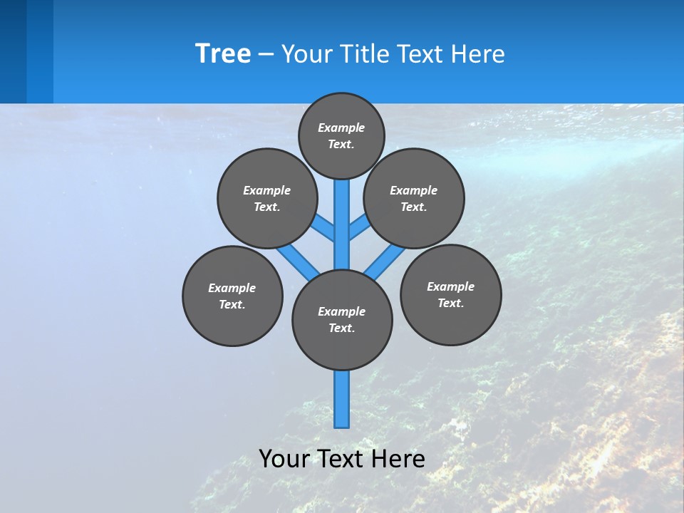 Marine Reef Scuba PowerPoint Template