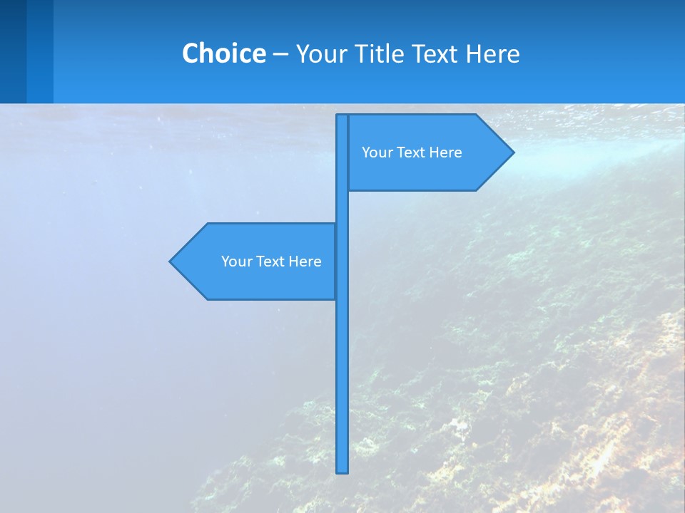 Marine Reef Scuba PowerPoint Template