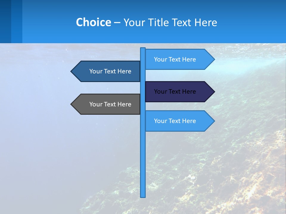 Marine Reef Scuba PowerPoint Template