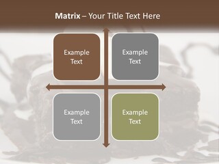 Ice Cream Brownie Gourmet PowerPoint Template