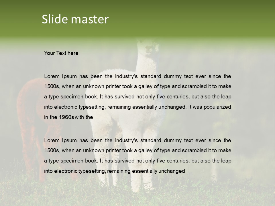 Peruvian Cub America PowerPoint Template