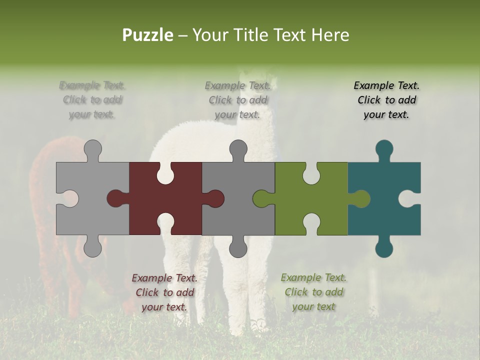 Peruvian Cub America PowerPoint Template