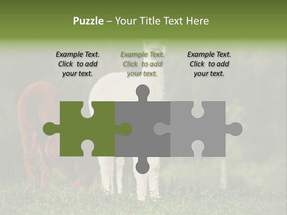 Peruvian Cub America PowerPoint Template