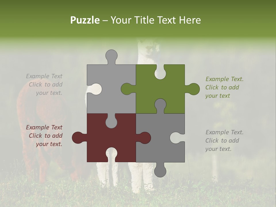 Peruvian Cub America PowerPoint Template