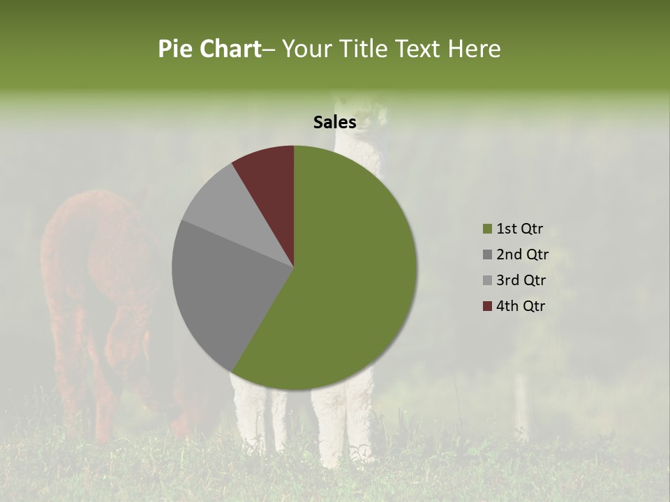 Peruvian Cub America PowerPoint Template