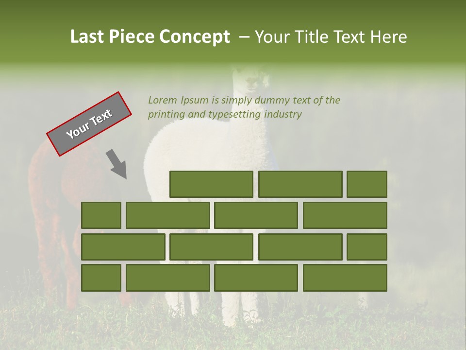 Peruvian Cub America PowerPoint Template