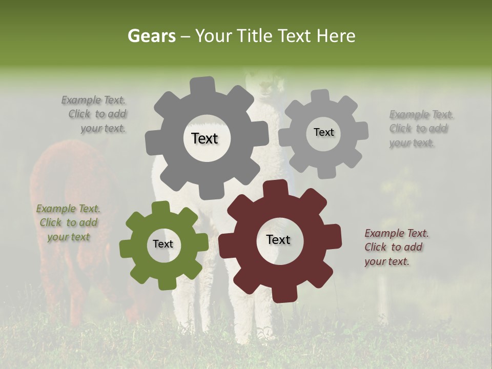 Peruvian Cub America PowerPoint Template