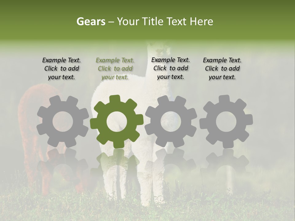 Peruvian Cub America PowerPoint Template