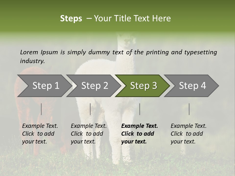 Peruvian Cub America PowerPoint Template