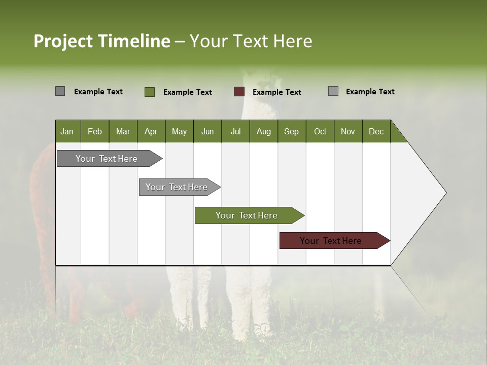 Peruvian Cub America PowerPoint Template