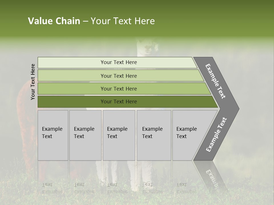 Peruvian Cub America PowerPoint Template
