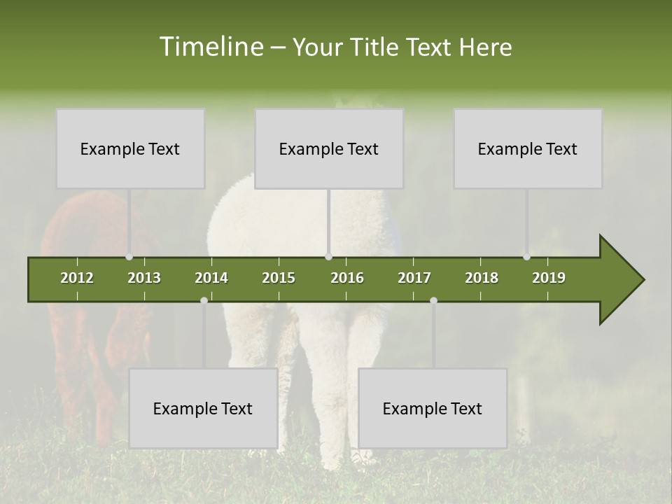 Peruvian Cub America PowerPoint Template