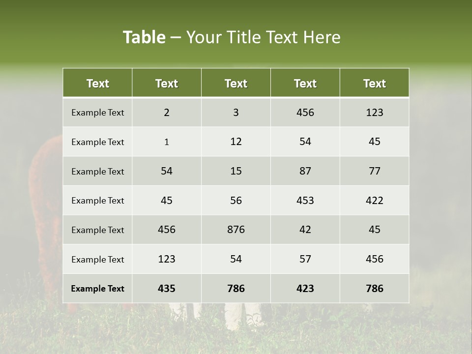 Peruvian Cub America PowerPoint Template