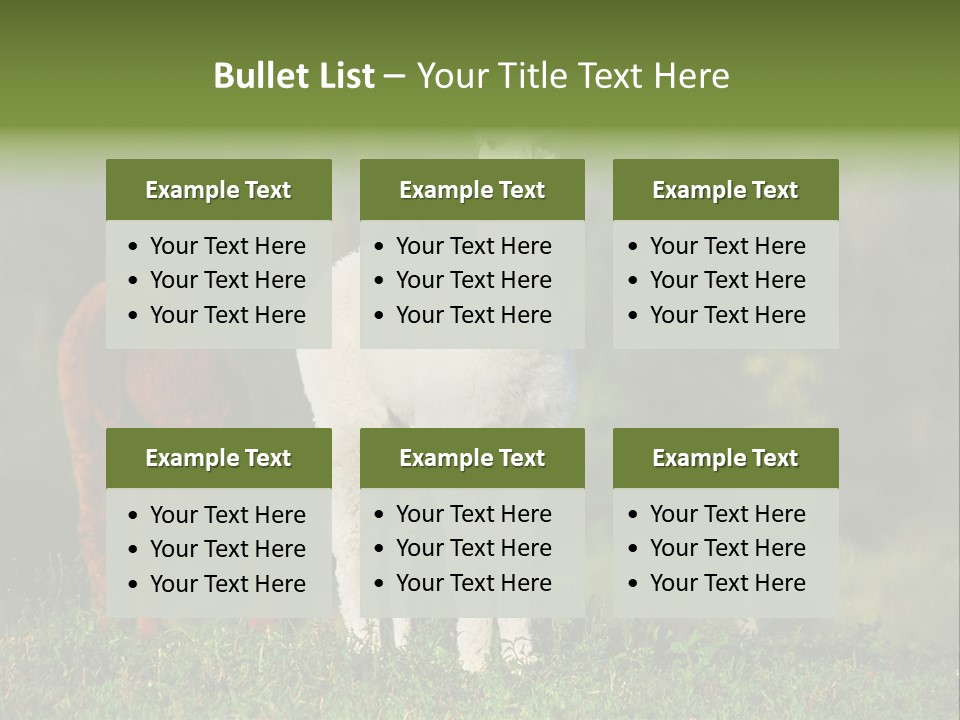 Peruvian Cub America PowerPoint Template