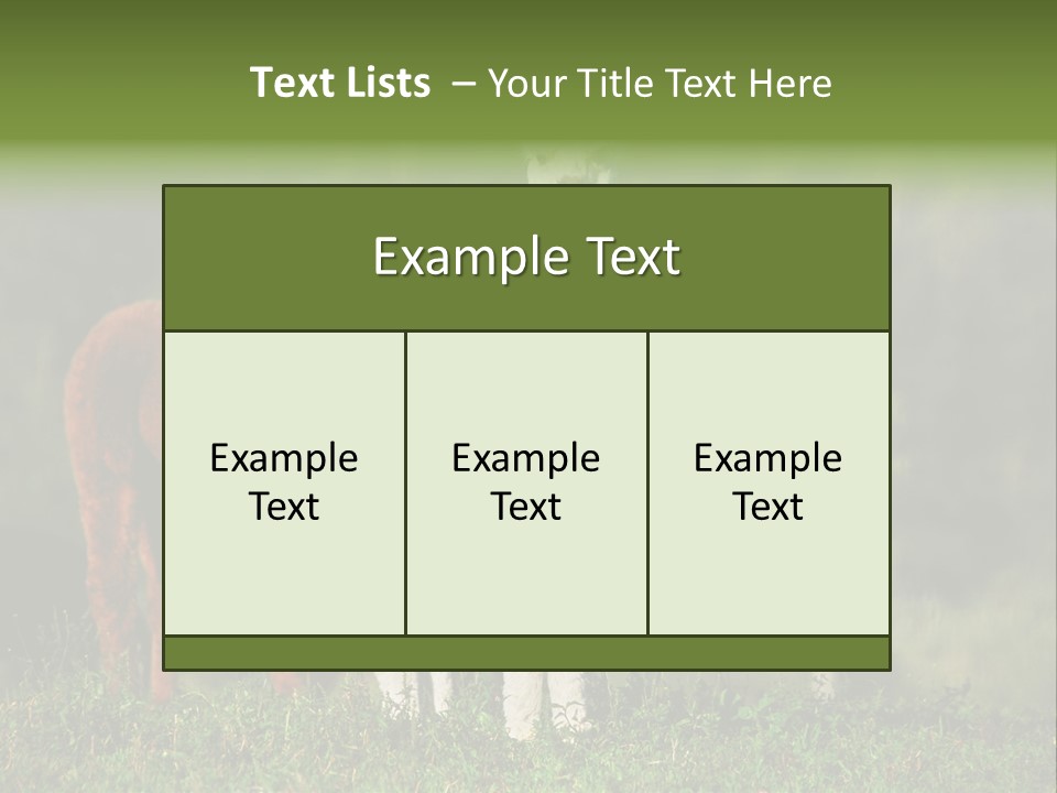 Peruvian Cub America PowerPoint Template