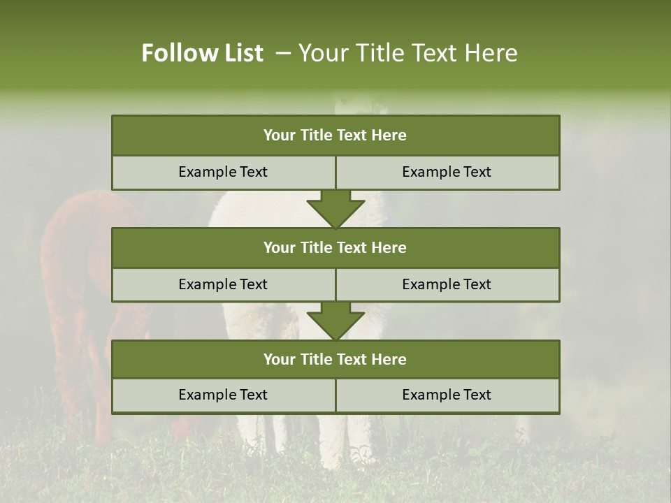 Peruvian Cub America PowerPoint Template