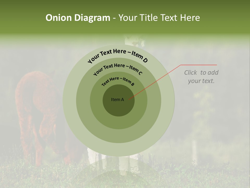 Peruvian Cub America PowerPoint Template