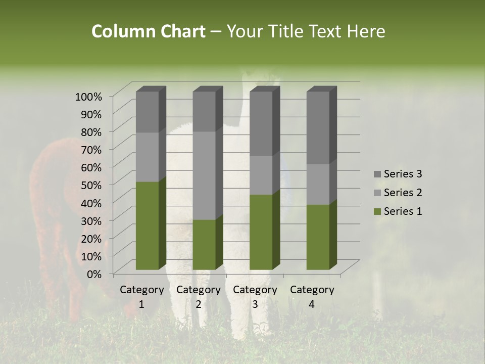 Peruvian Cub America PowerPoint Template