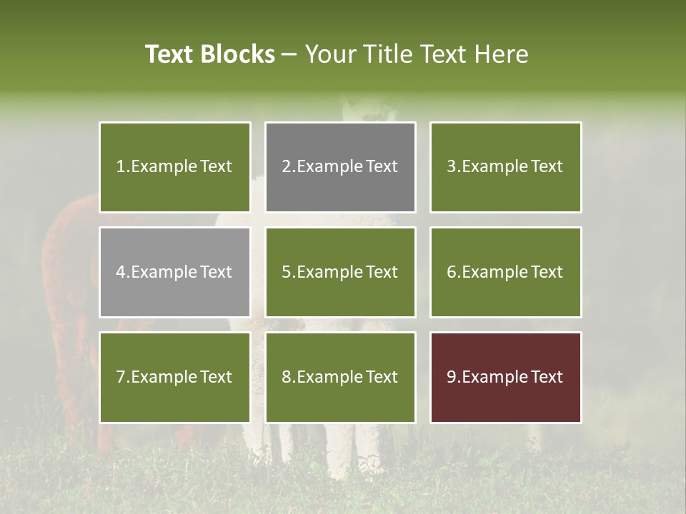 Peruvian Cub America PowerPoint Template