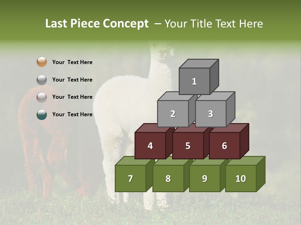 Peruvian Cub America PowerPoint Template