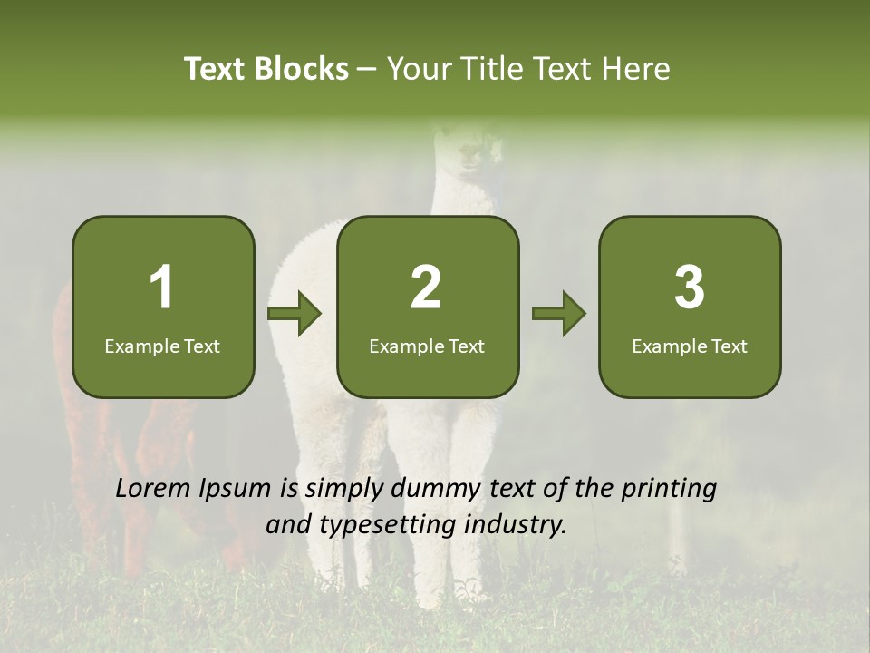 Peruvian Cub America PowerPoint Template